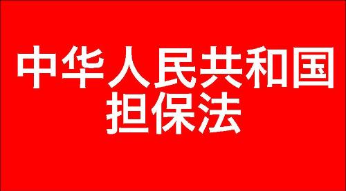 中华人民共和国担保法