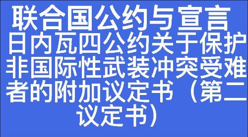 日内瓦四公约关于保护非国际性武装冲突受难者的附加议定书（第二议定书）