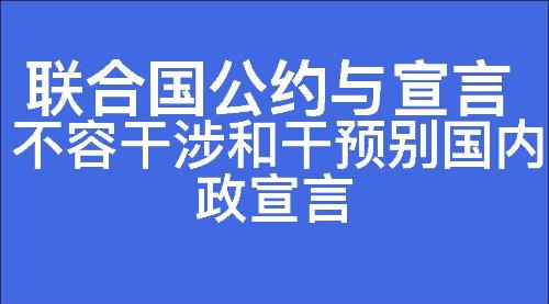 不容干涉和干预别国内政宣言