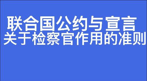 关于检察官作用的准则